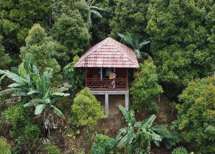 V View House Munduk