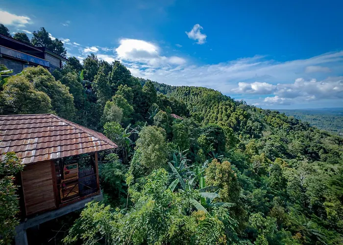 V View House