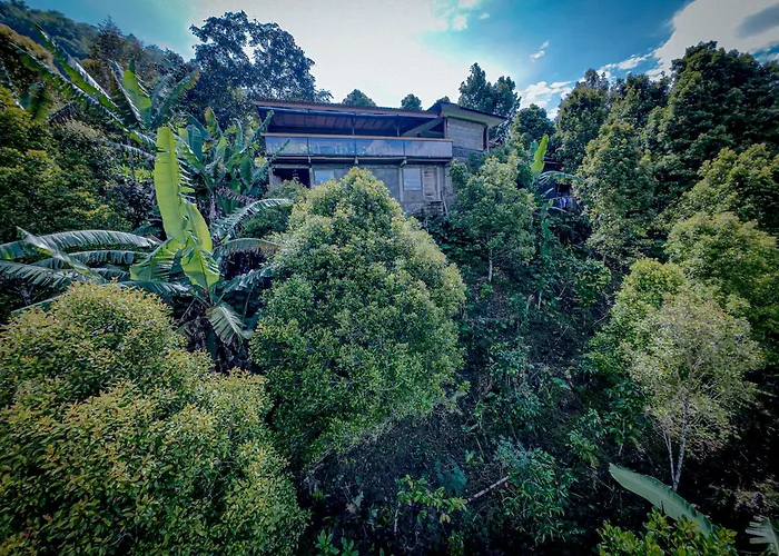 V View House *