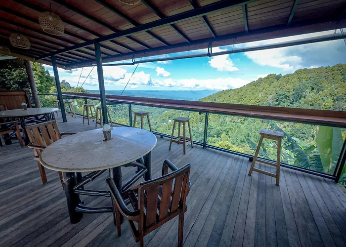 V View House